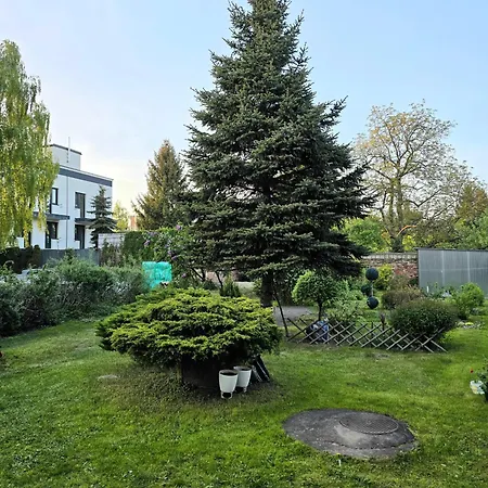 Comfortable West V * 华沙